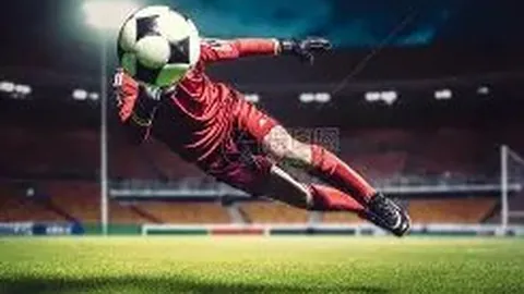 女子篮球队资格赛第三轮落幕，明年二月角逐奥运参赛资格